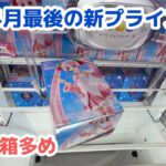 【クレーンゲーム】4月最後の新プライズ攻略［橋渡し］