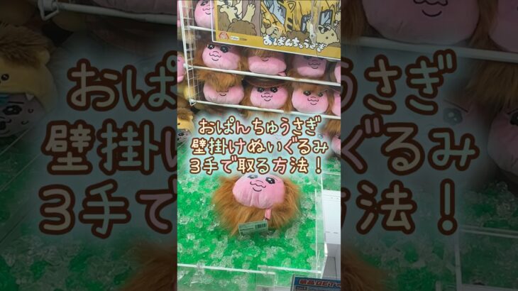 【クレーンゲーム】4/20 クレーンゲームでおぱんちゅうさぎのおぱサファリ 壁掛けオブジェ風ぬいぐるみを3手で取る方法、取り方のコツをお見せします！ #shorts