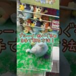 【クレーンゲーム】4/21 ラウンドワンでブルーイのハッピーなふたりのBIGぬいぐるみを3手で取るコツ、取り方をお見せします！ #shorts
