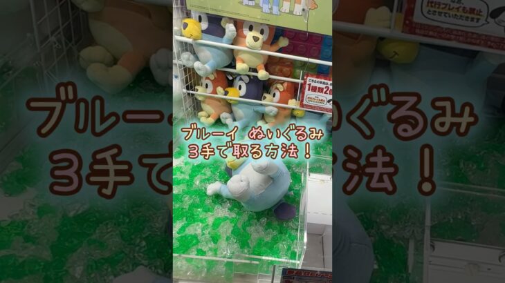 【クレーンゲーム】4/21 ラウンドワンでブルーイのハッピーなふたりのBIGぬいぐるみを3手で取るコツ、取り方をお見せします！ #shorts