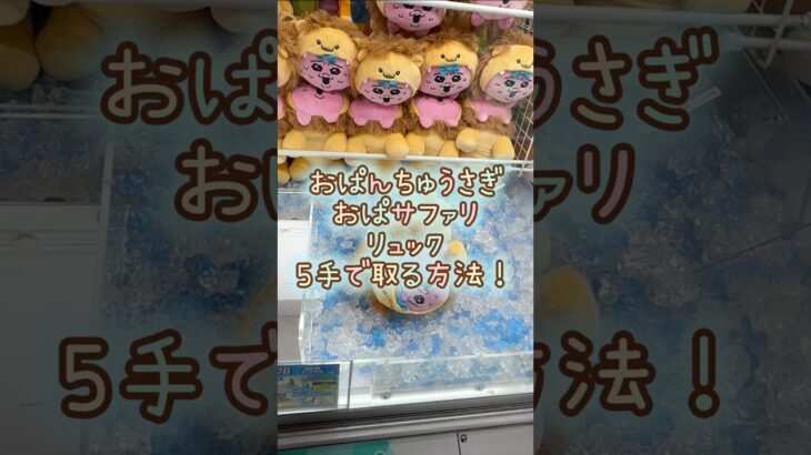 【クレーンゲーム】4/24 ラウンドワンでおぱんちゅうさぎのぬいぐるみを5手で簡単に取る取り方のコツをお見せします！ #shorts