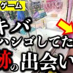 【国際親善】秋葉原クレーンゲーム5店はしごチャレンジ！偶然の出会いで外国人観光客をお助けクレゲの奇跡も…！　【UFOキャッチャー／フィギュア／GiGO／ゲームパニック／シルクハット／ナムコ】
