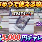 [クレーンゲーム] おたちゅう相模原店5000円チャレンジ！ [ユーフォーキャッチャー]