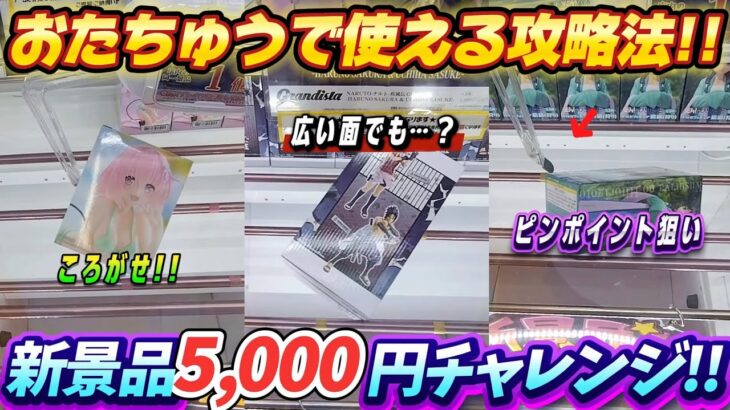 [クレーンゲーム] おたちゅう相模原店5000円チャレンジ！ [ユーフォーキャッチャー]