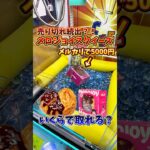 【入手困難】メルカリで5000円越えのスクイーズがクレーンゲームに入ってたので、取れるまで挑戦してみた🔥