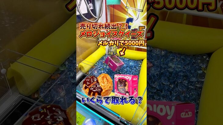 【入手困難】メルカリで5000円越えのスクイーズがクレーンゲームに入ってたので、取れるまで挑戦してみた🔥