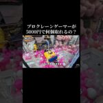 ✅自称プロクレーンゲーマーが5000円で何個景品取れるのか！？検証‼️#クレーンゲーム #ゲームセンター #ゲーセン #ufoキャッチャー #clawmachine #shorts #ゲーム実況