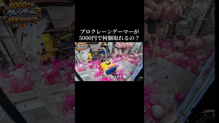 ✅自称プロクレーンゲーマーが5000円で何個景品取れるのか！？検証‼️#クレーンゲーム #ゲームセンター #ゲーセン #ufoキャッチャー #clawmachine #shorts #ゲーム実況