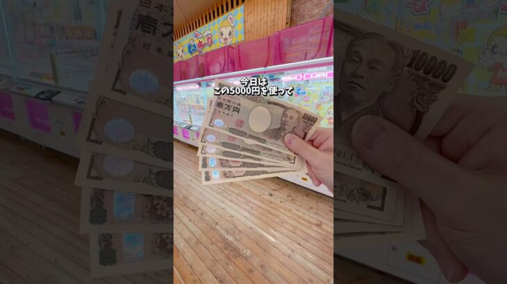 5000円！？で景品何個取れるのか検証してみた‼️#クレーンゲーム #ゲームセンター #ゲーセン #ufoキャッチャー #clawmachine #shorts #ゲーム実況 #ゲーム配信