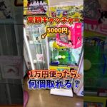 【ゲーセン】5000円の景品が入った高額キャッチーで、1万円使ったら何個取れるのか検証してみた🔥(クレーンゲーム)