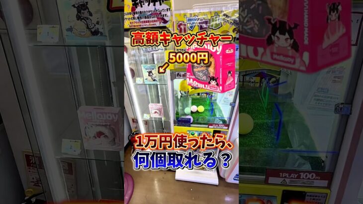 【ゲーセン】5000円の景品が入った高額キャッチーで、1万円使ったら何個取れるのか検証してみた🔥(クレーンゲーム)