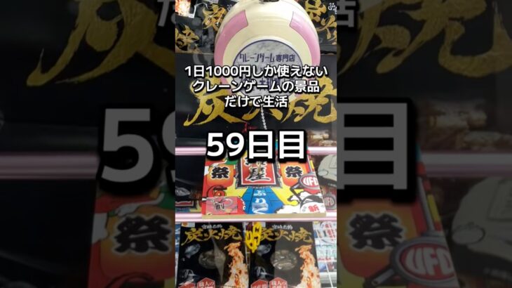 体重70キロになるまで終われないクレーンゲームの景品だけで生活59日目 #clawmachine #クレーンゲーム #ゲームセンター #ufoキャッチャー #フック設定 #ゲーセン