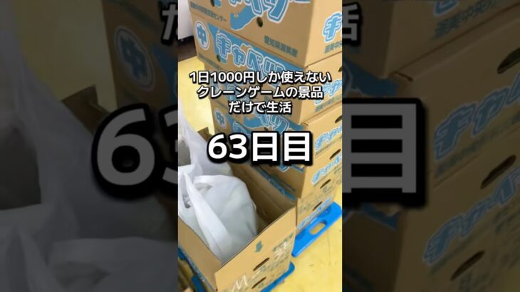 体重70キロになるまで終われないクレーンゲームの景品だけで生活63日目 #clawmachine #クレーンゲーム #ゲームセンター #ufoキャッチャー #ゲーセン #フック設定