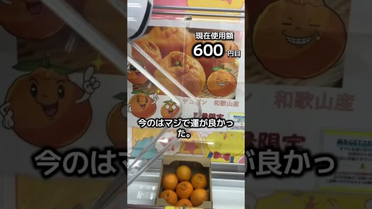 体重70キロになるまで終われないクレーンゲームの景品だけで生活64日目 #clawmachine #クレーンゲーム #ゲームセンター #ufoキャッチャー #ゲーセン #フック設定