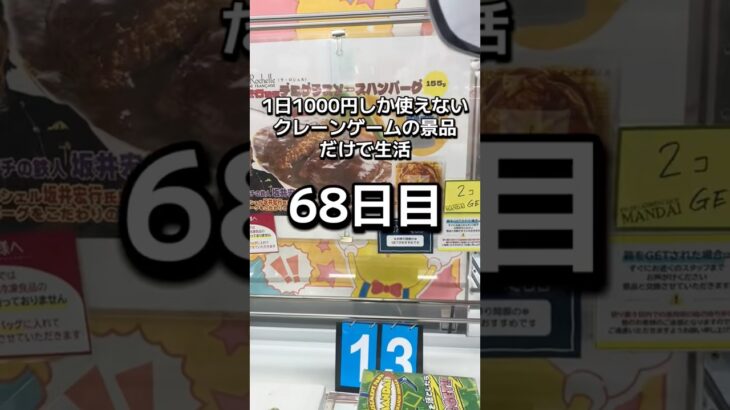 体重70キロになるまで終われないクレーンゲームの景品だけで生活68日目 #clawmachine #クレーンゲーム #ゲームセンター #ufoキャッチャー #ゲーセン #フック設定