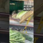 体重70キロになるまで終われないクレーンゲームの景品だけで生活73日目 #clawmachine #クレーンゲーム #ゲームセンター #ufoキャッチャー #ゲーセン #フック設定