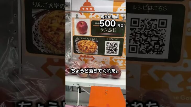 体重70キロになるまで終われないクレーンゲームの景品だけで生活75日目 #clawmachine #クレーンゲーム #ゲームセンター #ufoキャッチャー #ゲーセン #フック設定