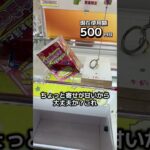 体重70キロのなるまで終われないクレーンゲームの景品だけで生活76日目 #clawmachine #クレーンゲーム #ゲームセンター #ufoキャッチャー #ゲーセン #フック設定