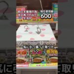 体重70キロになるまで終われないクレーンゲームの景品だけで生活78日目 #clawmachine #クレーンゲーム #ゲームセンター #ufoキャッチャー #ゲーセン #フック設定