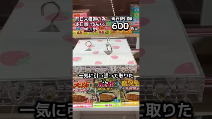 体重70キロになるまで終われないクレーンゲームの景品だけで生活78日目 #clawmachine #クレーンゲーム #ゲームセンター #ufoキャッチャー #ゲーセン #フック設定