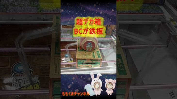 【クレーンゲーム】知らないと損！超デカ箱を格安で獲る「BC×滑り」の攻略術が凄すぎる！【ももくま】#回遊館 #short #UFOキャッチャー #BC #バランスキャッチ