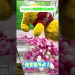 【完全攻略】プーさん超BIGぬいぐるみ｜3本アームで取る方法を徹底解説🐻