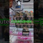 クレゲ日記 BiCute Dark リーファ #クレーンゲーム