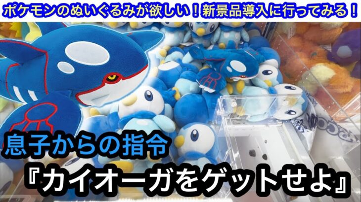 『パパカイオーガ獲ってきて！』息子のお願いの為にポケモンのぬいぐるみを獲りにいく！【CAPCOM】【ポケモン】【クレーンゲーム】【JapaneseClawMachine】【인형뽑기】【日本夾娃娃】