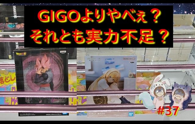 【クレーンゲーム】CGS熊谷はGIGOよりやばい説を検証。橋は狭くパワーは…これ初心者お断りですか？in CGS熊谷【ももくま #37】#橋渡し設定 #クレーンゲーム #クレーンゲーム倉庫 #万代書店