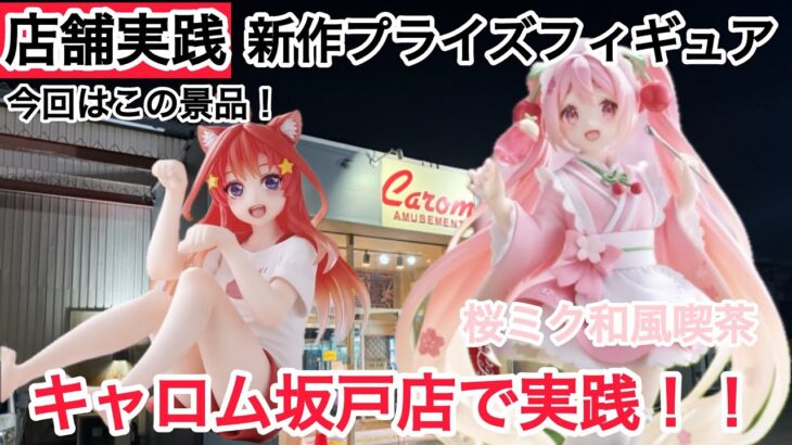 【クレーンゲーム】土曜日は再販景品のみですね！ Corefulフィギュアから桜ミク和風喫茶🌸 #クレーンゲーム #ufoキャッチャー #キャロム坂戸店 #キャロム
