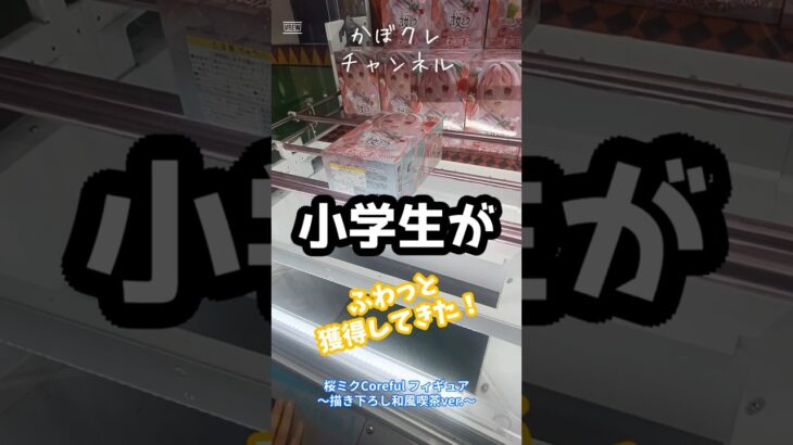 桜ミク Coreful フィギュア ～描き下ろし和風喫茶ver ～ 小学生がふわっと獲得してきた！ #クレーンゲーム攻略 #クレーンゲーム #youtubeshorts #おすすめにのりたい
