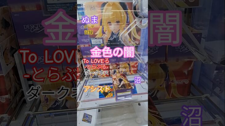 【 #クレーンゲーム 】金色の闇 とらぶるダークネス Desktop Cute #プライズ #ゲームセンター #ufoキャッチャー #フィギュア #shorts  #アニメ 倉庫系 沼 (CGS前橋)