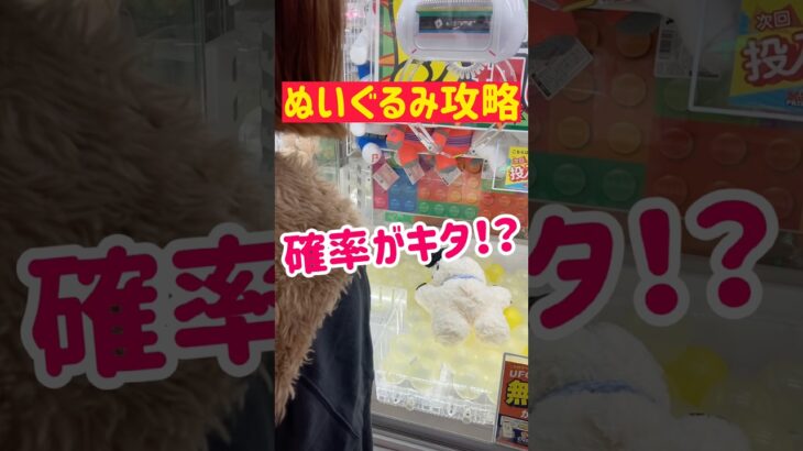 【ぬいぐるみ攻略】確率がキタ！？ラッキーGET！！！