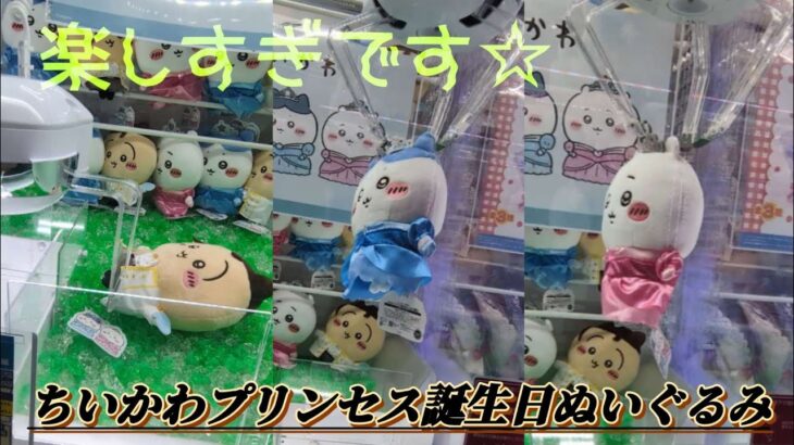 ちいかわプリンセス誕生日ぬいぐるみ☆ やっぱり自力でGETしたいですよね〜♪【クレーンゲーム】