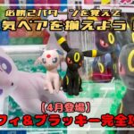 【揃えたい２匹】予習＆復習してエーフィ＆ブラッキーを確実にGETしよう！！　#ポケットモンスター #ポケモン #pokemon #ぬいぐるみ #クレーンゲーム