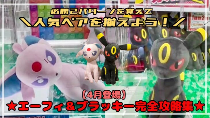 【揃えたい２匹】予習＆復習してエーフィ＆ブラッキーを確実にGETしよう！！　#ポケットモンスター #ポケモン #pokemon #ぬいぐるみ #クレーンゲーム