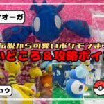 【逃すな】伝説カイオーガと可愛いデンリュウ・ポッチャマを確実にGETしよう！！ #ポケモン#pokemon #ポケットモンスター #クレーンゲーム#ぬいぐるみ