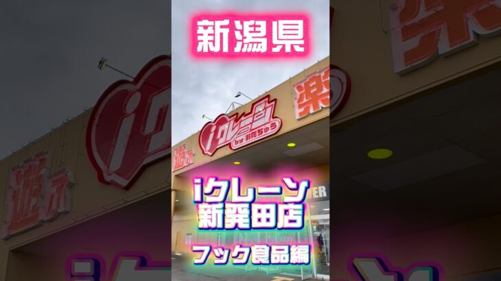 【新潟】高級食品がGETできる激ヤバゲーセンに来た #shorts #クレーンゲーム #ufoキャッチャー #フック #新潟