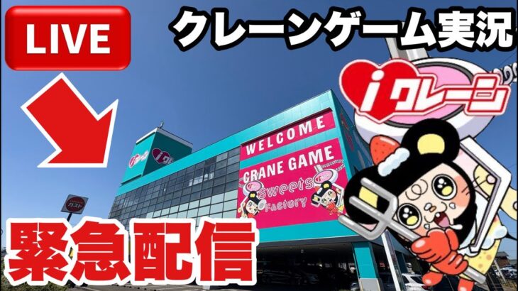 【クレーンゲームLIVE】話題のiクレーン三条店から緊急生配信！クレーンゲーム実況
