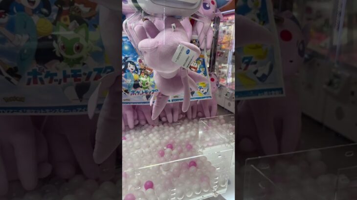 なぜブラッキーは景品にされないのか#ポケモン#Pokemon#エーフィ#クレーンゲーム#ufoキャッチャー #ゲームセンター