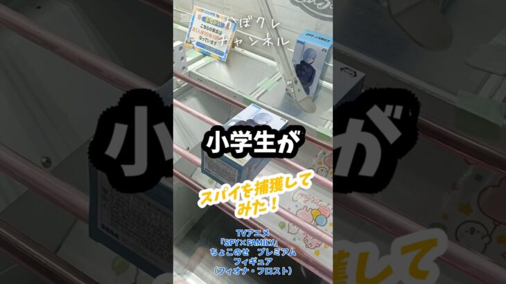 「SPY×FAMILY」 ちょこのせ プレミアムフィギュア（フィオナ・フロスト）を捕獲してきた！ #クレーンゲーム攻略 #クレーンゲーム #youtubeshorts #おすすめにのりたい