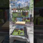 ※嫁の実況編 #UFOキャッチャー #クレーンゲーム  #ゲームセンター #攻略 #shorts  #youtubeshort