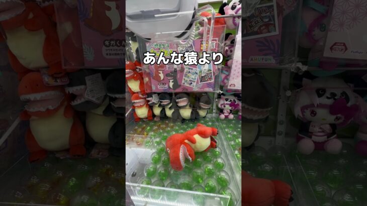 新種の猿を乱獲してみた#UFOキャッチャー #クレーンゲーム  #ゲームセンター #攻略 #shorts  #youtubeshorts