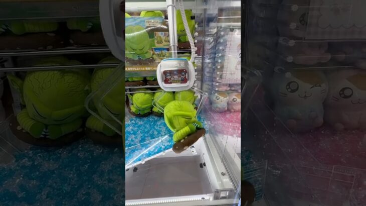 裏技で乱獲してみた大作戦だゾ！！#UFOキャッチャー #クレーンゲーム  #ゲームセンター #攻略 #shorts  #youtubeshorts