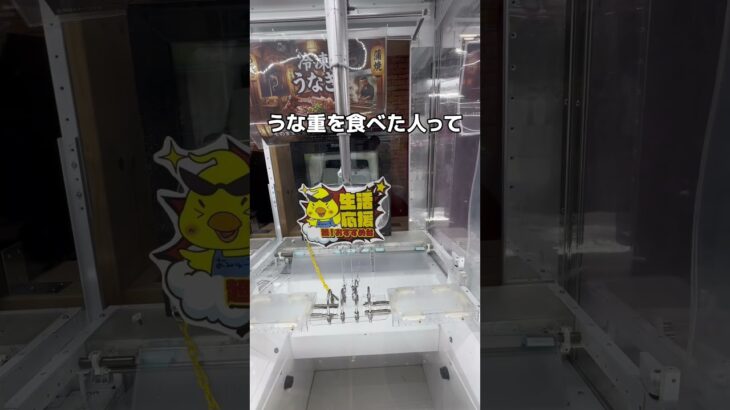 日本で初めての挑戦をしてみた#UFOキャッチャー #クレーンゲーム  #ゲームセンター #攻略 #shorts  #youtubeshorts