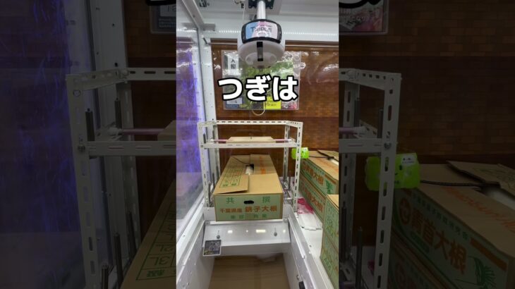 巨大な大根を取ってみた#UFOキャッチャー #クレーンゲーム  #ゲームセンター #攻略 #shorts  #youtubeshorts