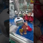 巨大なワニを捕獲してみた#UFOキャッチャー #クレーンゲーム  #ゲームセンター #攻略 #shorts  #youtubeshorts