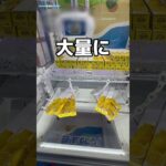 ラウンドワンで乱獲してみた#UFOキャッチャー #クレーンゲーム  #ゲームセンター #攻略 #shorts  #youtubeshorts