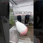 巨大な白身フライ取ってみた#UFOキャッチャー #クレーンゲーム  #ゲームセンター #攻略 #shorts  #youtubeshorts