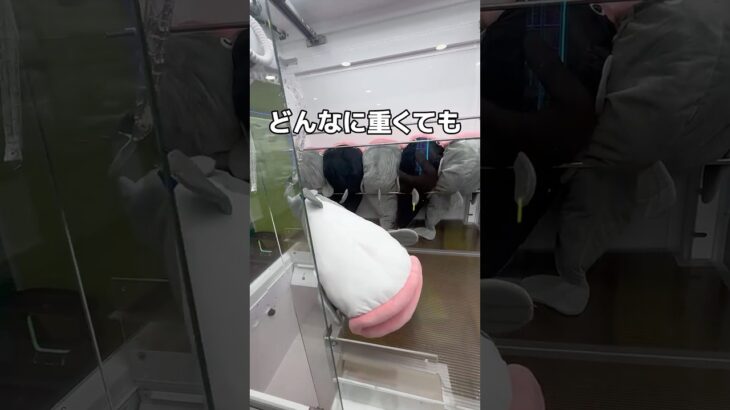 巨大な白身フライ取ってみた#UFOキャッチャー #クレーンゲーム  #ゲームセンター #攻略 #shorts  #youtubeshorts